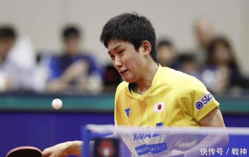 杨未来地位 杨未来地位