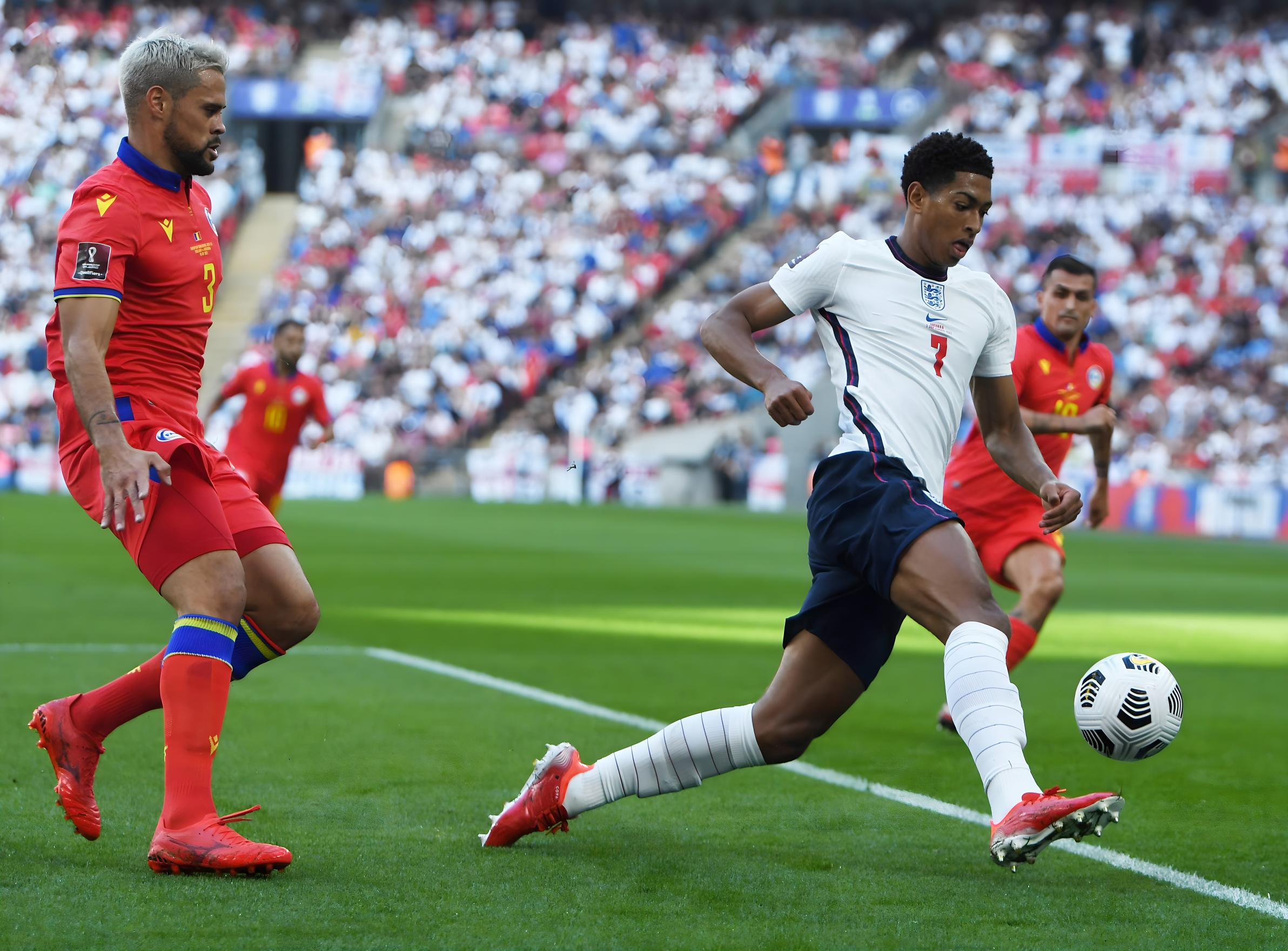 截然不同的 截然不同的